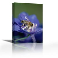 Медена пчела Събиране на прашец от цветя - Съвременна изящна изкуство Giclee on Canvas Gallery Wrap - Décor на стена - изкуство - готова за окачване